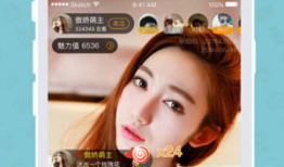 91为什么没有直播了,探寻背后原因与未来走向